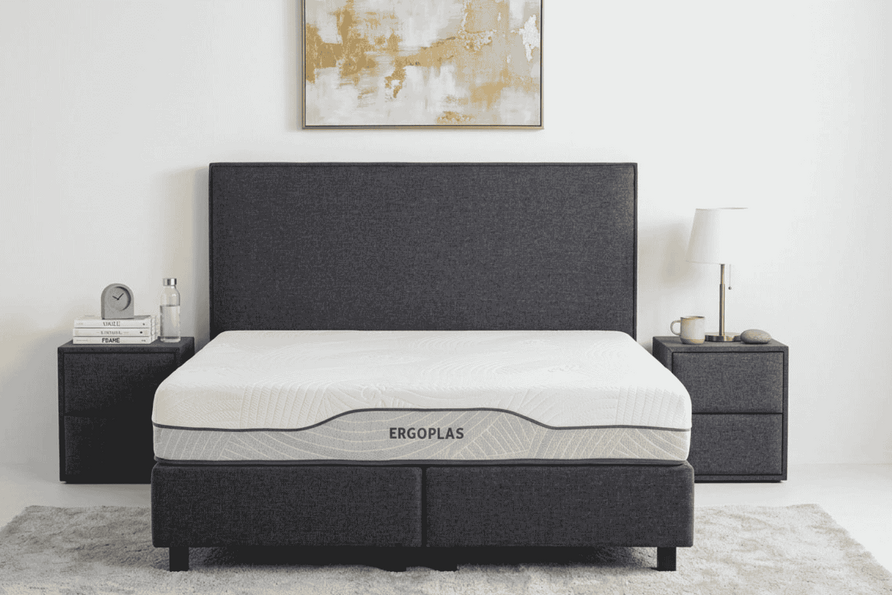 Ergoplas - 1