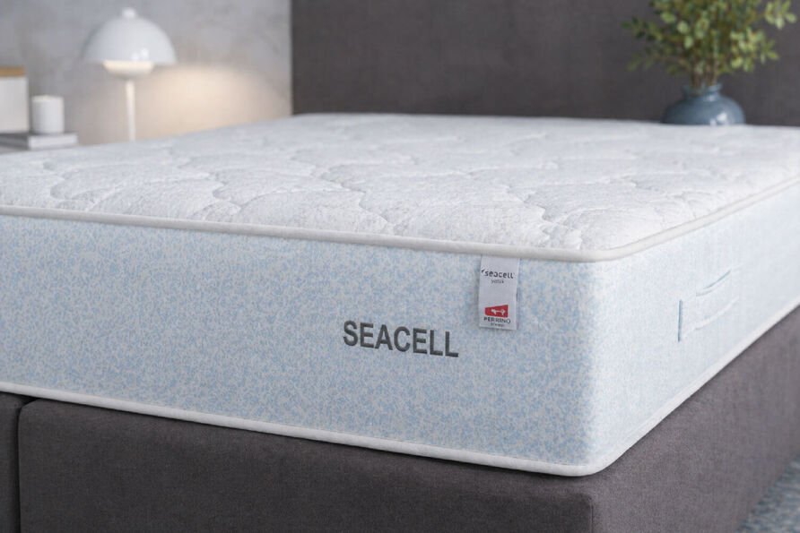 SeaCell & Wellness - 3