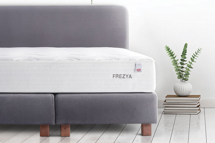 Frezya - 4
