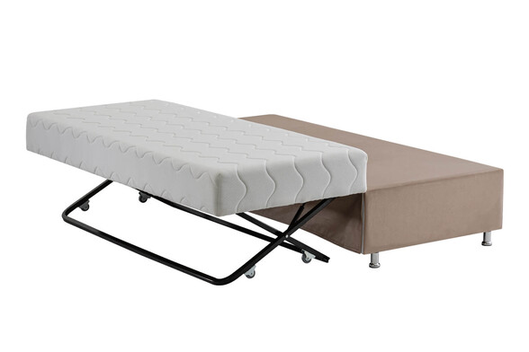 Yavrulu Baza - Thumbnail